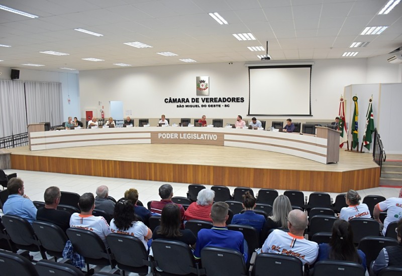Foto: Tiarajú Goldschmidt/Câmara de Vereadores