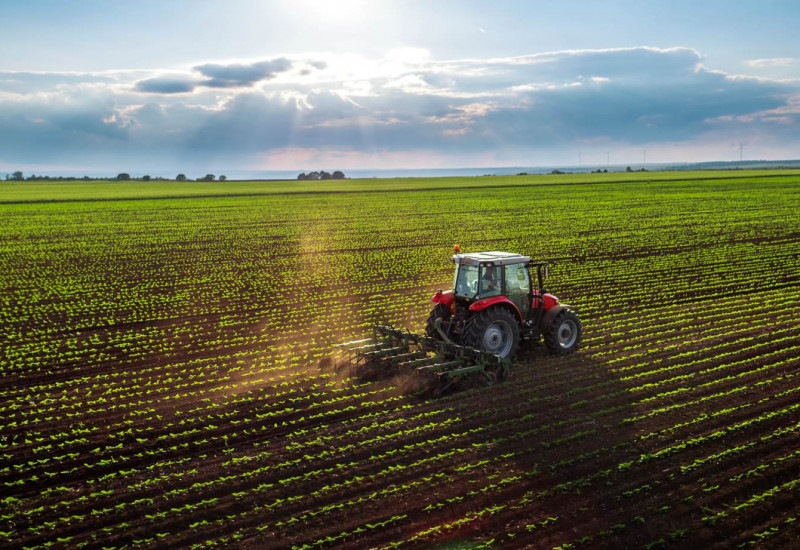 Foto: valio84sl/Thinkstock