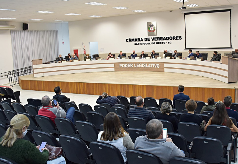 Foto: Tiarajú Goldschmidt/Câmara de Vereadores/Divulgação/JRTV